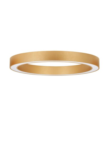 LED Deckenlampe Ring Ø 80 cm in Gold dimmbar CCT MALDEN