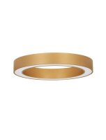 LED Deckenleuchte in Gold &Oslash; 60 cm dimmbar Ring Farbwechsel