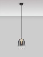 LED Hängelampe Schwarz Ø 16 cm Rauchglas rund...