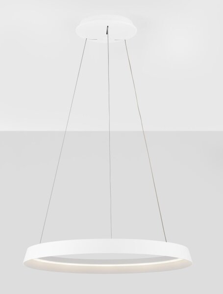 LED Pendelleuchte dimmbar Weiß Ø 60 cm Ring Farbwechsel
