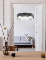 LED Hängelampe Ø 38 cm dimmbar Schwarz...