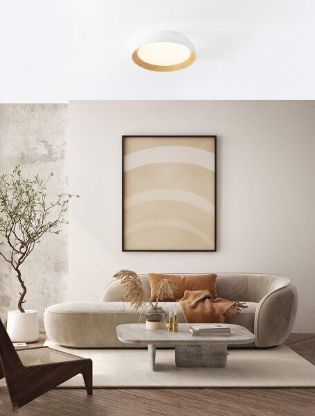 LED Deckenleuchte Weiß Ø 45 cm dimmbar rund warmweiß REMY