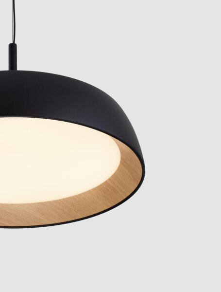 LED Hängeleuchte Schwarz Ø 45 cm dimmbar höhenverstellbar