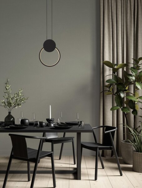 LED Hängelampe Schwarz 20 cm lang Ring warmweiß SONIA Modern