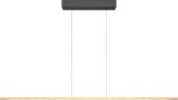LED H&auml;ngelampe dimmbar 2200-3000K Schwarz Blattgold