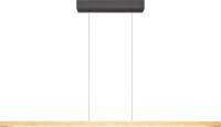 LED Pendelleuchte dimmbar 2200-3000K Schwarz Blattgold