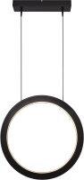 LED Pendelleuchte dimmbar 2700K Schwarz L:50 cm rund