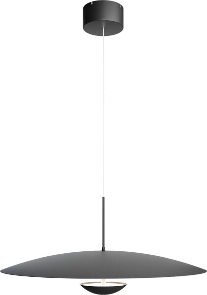 LED Pendelleuchte dimmbar 2200-2700K Schwarz Ø60 cm