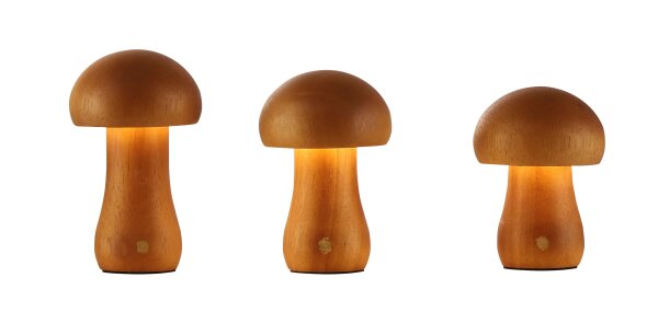 LED Tischlampe 3er-Set 3000K Holz Natur Ø6,3 cm 39 lm