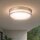 LED Deckenlampe CCT 2300-4000K Metall Gold IP65 Ø30 cm