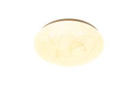LED Deckenlampe CCT 2700-4000K Metall Wei&szlig; &Oslash;29 cm flach