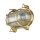 Wandleuchte Messing Riffelglas IP64 oval Maritim