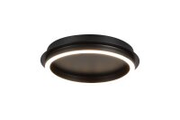 LED Deckenleuchte dimmbar 3000K Metall Schwarz &Oslash;36 cm