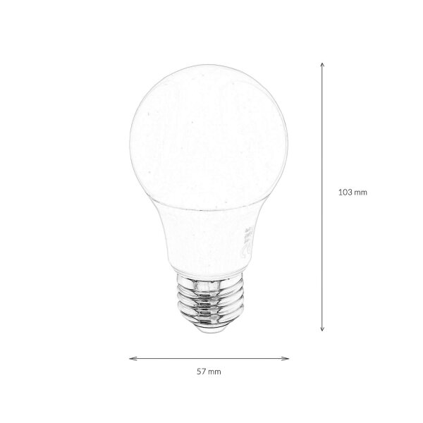 LED Leuchtmittel E27 10,5 Watt 2700 K 1055 lm hell - LM10055