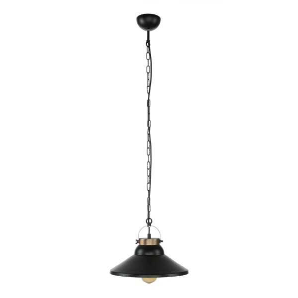 Lampe à suspendre élégante IRON en noir
